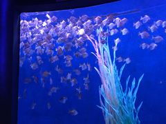 -沈阳海洋探索中心