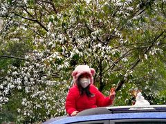 -铁山坪森林公园