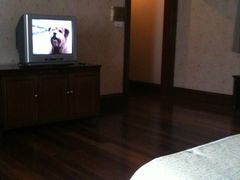 浦江饭店-上海浦江饭店