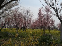 -古柏渡飞黄旅游区
