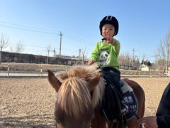 -北京群众马术培训基地