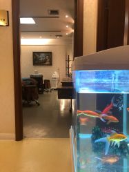 -西安伊美尔医疗美容医院