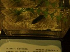 -扬州东关街文昌阁桔子水晶酒店