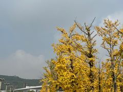 -百林公园-两江幸福广场
