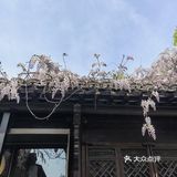 南京发现官 0元玩转这座城 街头巷尾的美食现场