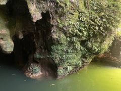 -怀托摩萤火虫洞