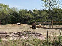 -沈阳森林动物园