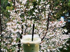 -Manner Coffee(徐汇滨江店)