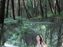 -铁山坪森林公园