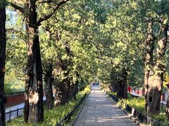 -国家植物园南园