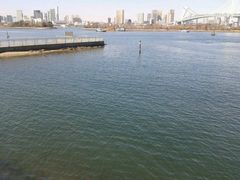 -台场海滨公园船码头