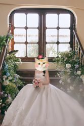 -北遇映画PHOTO GRAPHY STUDIO