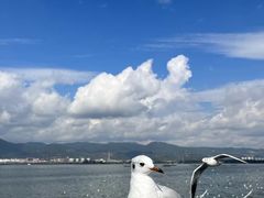 -海埂大坝