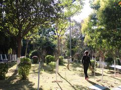 -攀枝花公园
