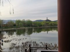 -北坞公园