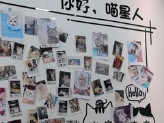 -瑞派·关忠动物医院·猫专科·犬专科(三环新城店)