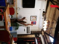 -旺角小渔村·海肠捞饭开创者(环山路店)