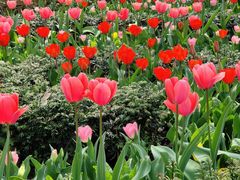 -曹杨影城(曹杨店)