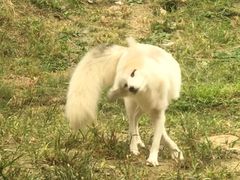 -杭州野生动物世界