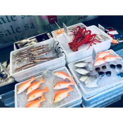 -OOAK设计师品牌概念店(新乐路店)