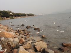 -深圳湾公园(南山区)