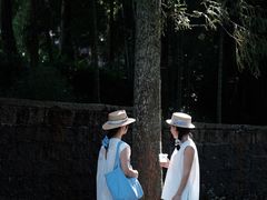 -玉苍山国家森林公园