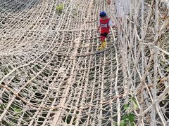 -呀路古热带植物园