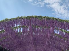 -婺源梦里老家大型山水实景演出