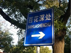 -百花深处胡同