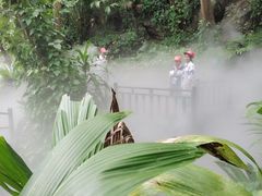 -呀诺达热带雨林
