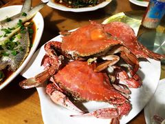 -大树下饭店(春晓镇慈岙社区卫生服务站南)