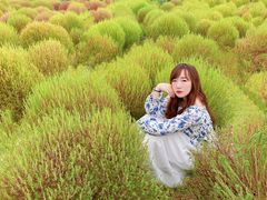 -映月湖中央公园