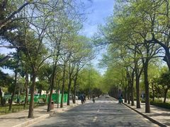 -熙春园餐厅