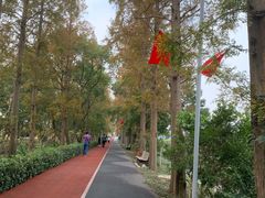 -上海长兴岛郊野公园