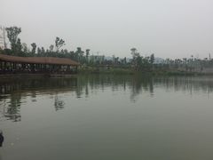 -枫香湖儿童公园