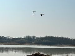 -鄱阳湖国家湿地公园