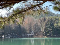-四明山国家森林公园