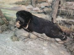 -北京动物园-畅观楼