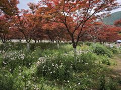 -云漫湖生态度假公园