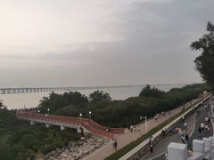 -宝安西湾红树林湿地公园