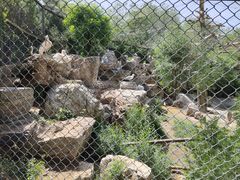 -石家庄市动物园