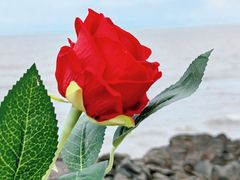 -厦门湾·白塘湾火山公园