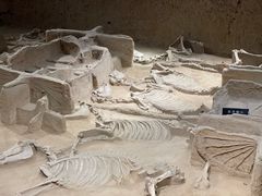 -洛阳周王城天子驾六博物馆