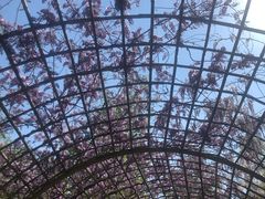 -济南植物园
