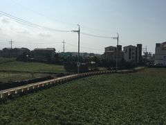 -涉地可支