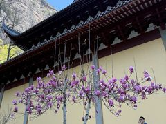 -雁荡山风景名胜区