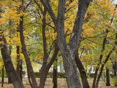 -长春市南湖公园