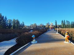 -金塔沙漠胡杨林景区