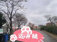 -大塘金香草谷