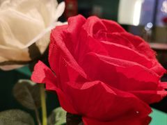 -炭舍干锅·烤鱼(扬名广场店)